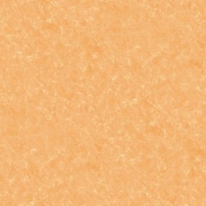 Apricot Velvet Texture