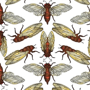 17 Year Cicadas (White large scale)