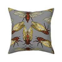 17 Year Cicadas (Gray Grey large scale)