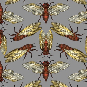 17 Year Cicadas (Gray Grey large scale)