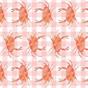 (XL) Orange Crabs line dance on pink gingham jumbo 24 inch