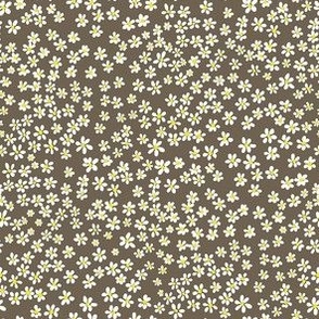 (XS) Tiny micro quilting floral - small white flowers on Bark brown - Petal Signature Cotton Solids coordinate