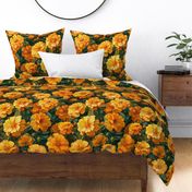 Large Scale Marigold Blossoms