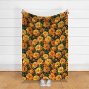 Large Scale Marigold Blossoms