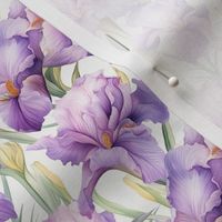Smaller Scale Beautiful Iris Flowers in Shades of Pink and Purple