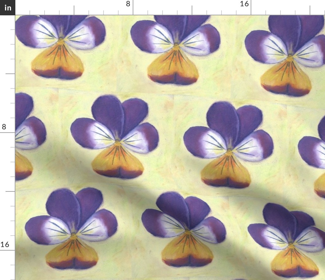 Wild pansy on pastel cream background