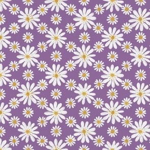 White double daisy on violet 12in