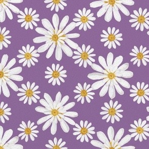 White double daisy on violet 24in