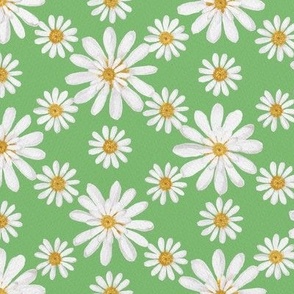 White double daisy on lime green 24in