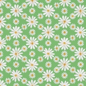 White double daisy on lime green 12in