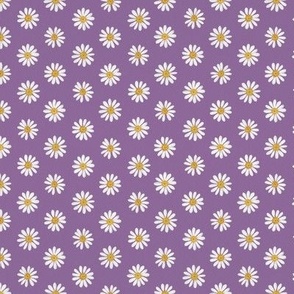 White daisy on violet 12in