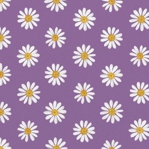 White daisy on violet 24in