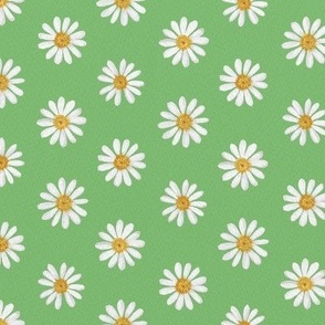 White daisy on lime green
 24in