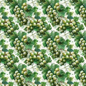 Green Grapes Greenery Botanical Design Grape Vineyard  Pattern