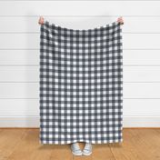 Gray Gingham Large Scale