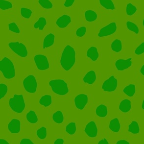 Painted Spots cucumber green on green leaf