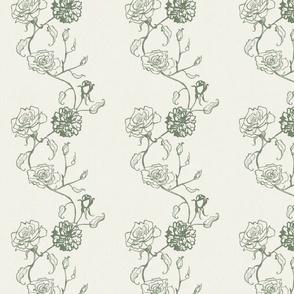 Rosebud trailing floral stripe vertical / cecil brunner rose / hand drawn vintage flowers / subtle floral wallpaper / classical rococo roses / climbing rose striped / khaki green creamy white