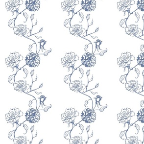 Rosebud trailing floral stripe vertical / cecil brunner rose / hand drawn vintage flowers / subtle floral wallpaper / classical rococo roses / climbing rose striped / denim blue true white