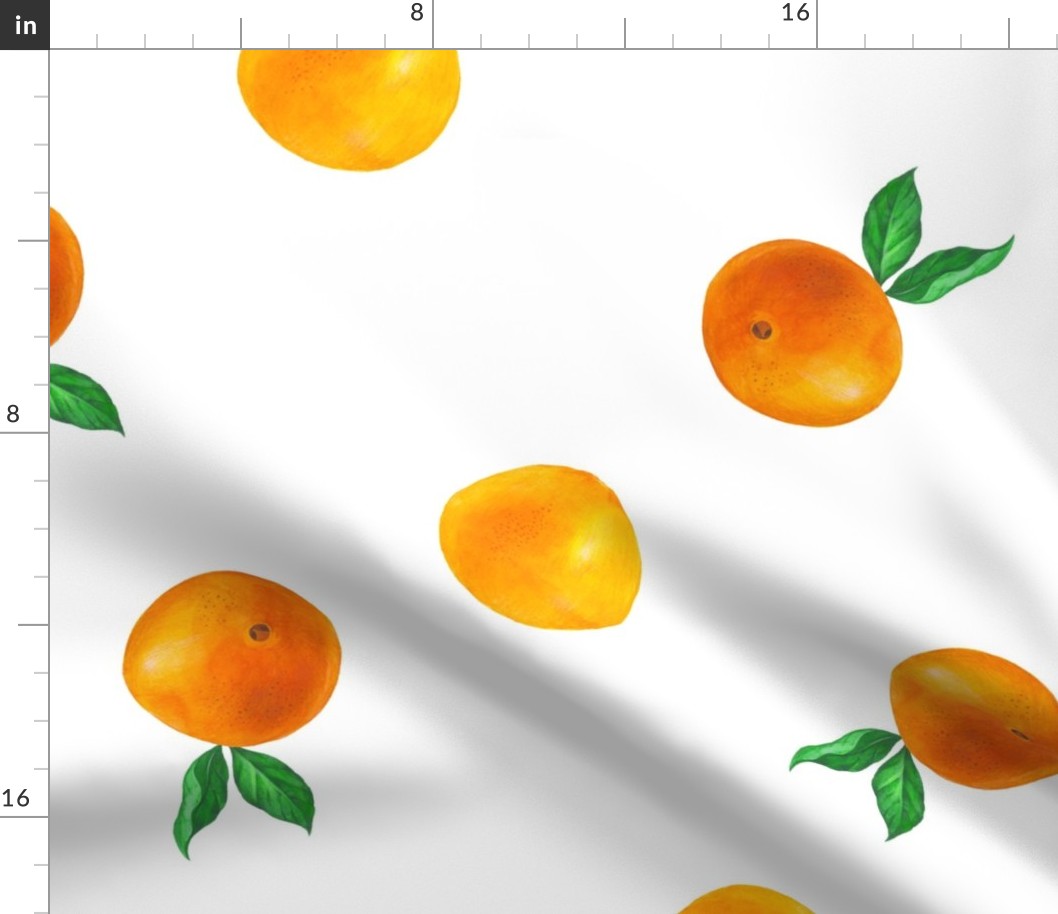 Summer Watercolor Oranges