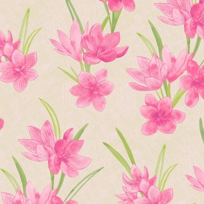 Spring Flowers - Crocus Floral Hand Drawn Textured Print in Pink over Beige