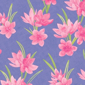 Spring Flowers - Crocus Floral Hand Drawn Textured Print in Pink over Navy Blue