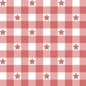 Gingham Coral Pink with Stars