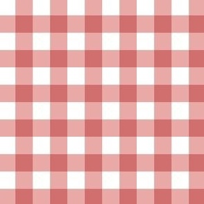 Gingham Coral Pink