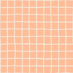 Doodle Grids Gingham in Peach Fuzz Off White Wheat