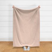Doodle Grids Gingham in Peach Pink Beige 