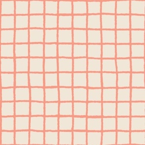 Doodle Grids Gingham in Peach Pink Beige 
