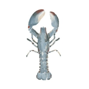 Lobster (12")
