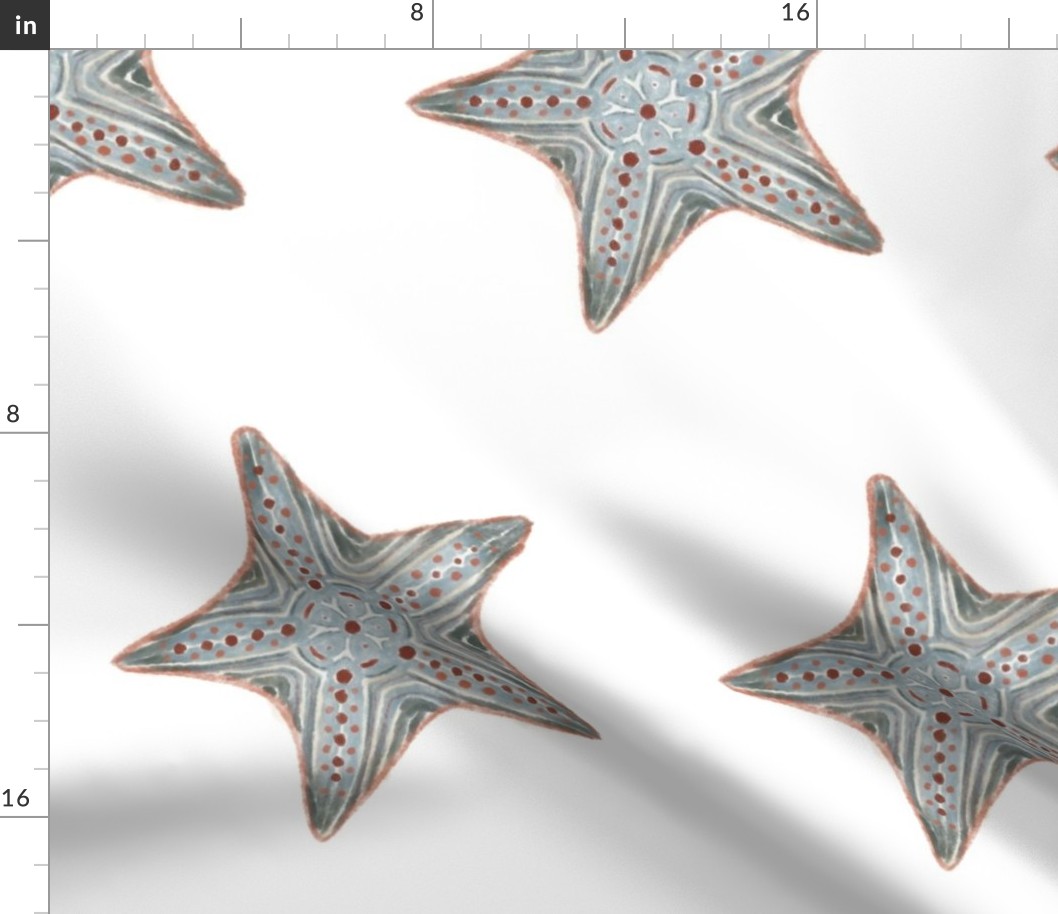Starfish (12")