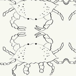 Maryland crab grid on white sand
