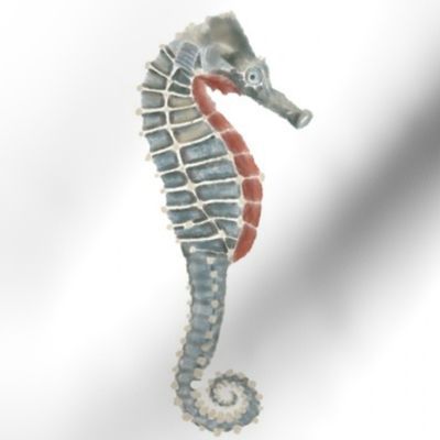 Seahorse (8")