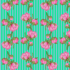 Pink Peony on stripes