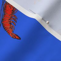 Cherry Shrimp on Bright Blue