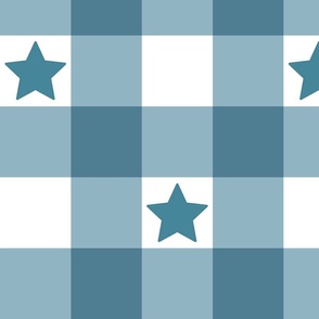 Gingham Light Blue with Stars Large