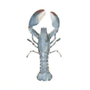 Lobster (24")