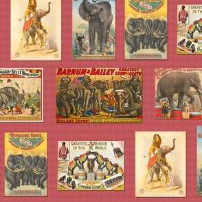 Vintage Circus Elephants Posters on Pink