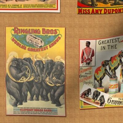 Vintage Circus Elephant Posters on Beige