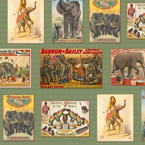 Vintage Circus Elephant Posters on Green