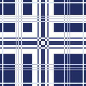 Copenhagen Tartan in ink