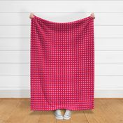 Hot Pink and Red Gingham 