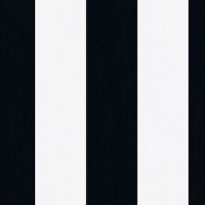 Sunkissed Stripes: black licorice and vanilla ice cream
