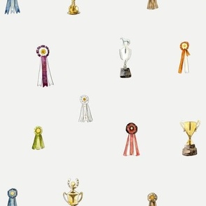 Horse Show Ribbons  