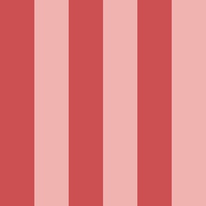 Two-Tone Pink Stripes