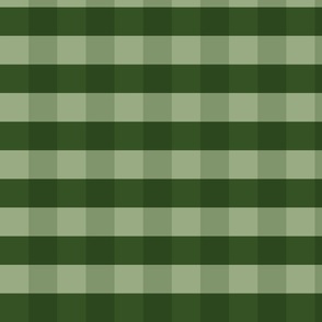 Gingham Green - small