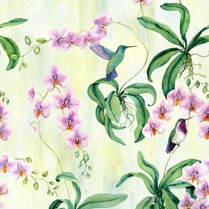 Orchids with hummingbirds pastel yellow green