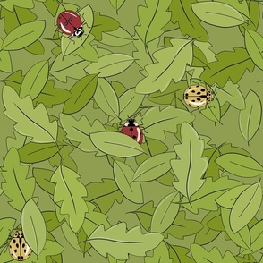 Ladybugs on leaves -  with green background