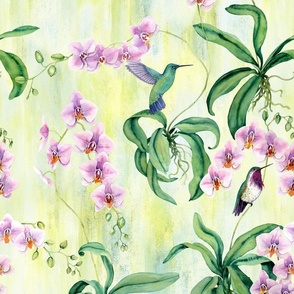 Orchids with hummingbirds pastel yellow